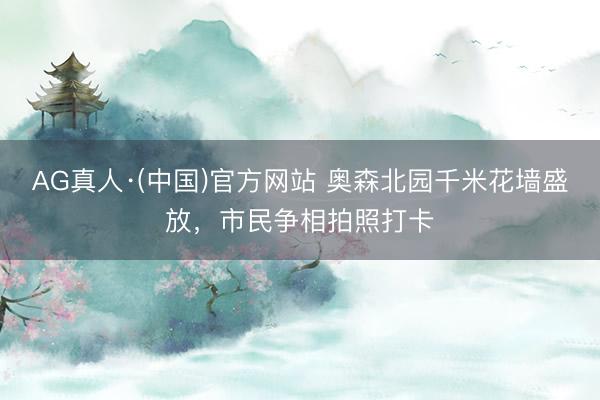 AG真人·(中国)官方网站 奥森北园千米花墙盛放，市民争相拍照打卡