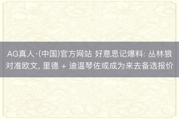 AG真人·(中国)官方网站 好意思记爆料: 丛林狼对准欧文， 里德 + 迪温琴佐或成为来去备选报价