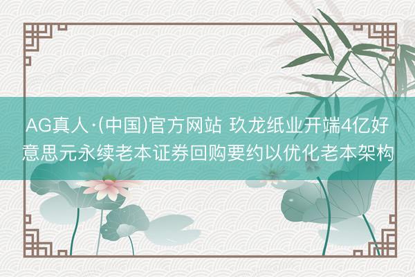 AG真人·(中国)官方网站 玖龙纸业开端4亿好意思元永续老本证券回购要约以优化老本架构